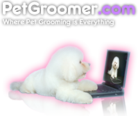 Pet and Dog Groomer Resource with Grooming Schools